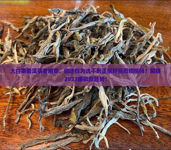 大白菜普洱茶老班章