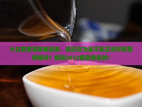 大白菜普洱茶老班章