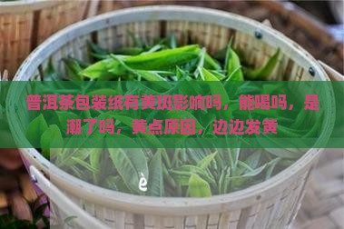 普洱茶包装纸有黄斑影响吗