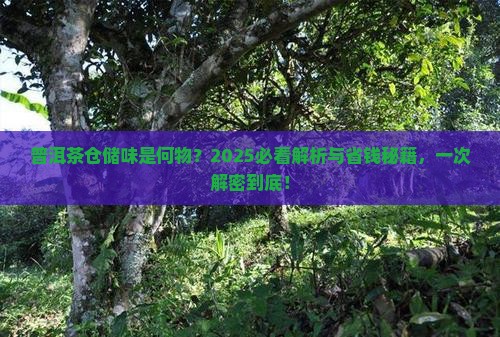 普洱茶有仓储味道