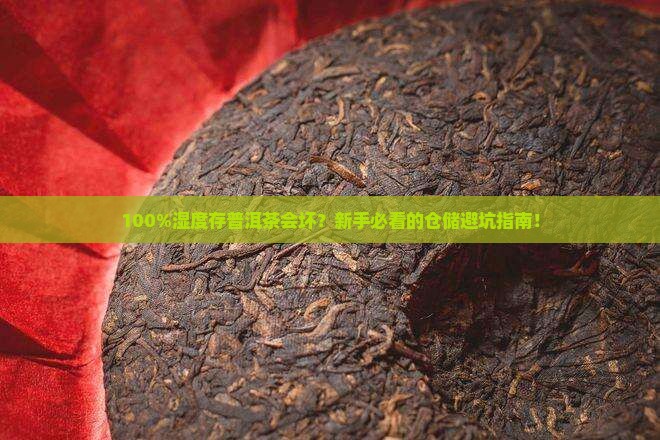 普洱茶仓储湿度100