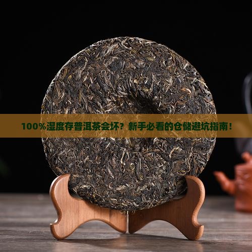 普洱茶仓储湿度100