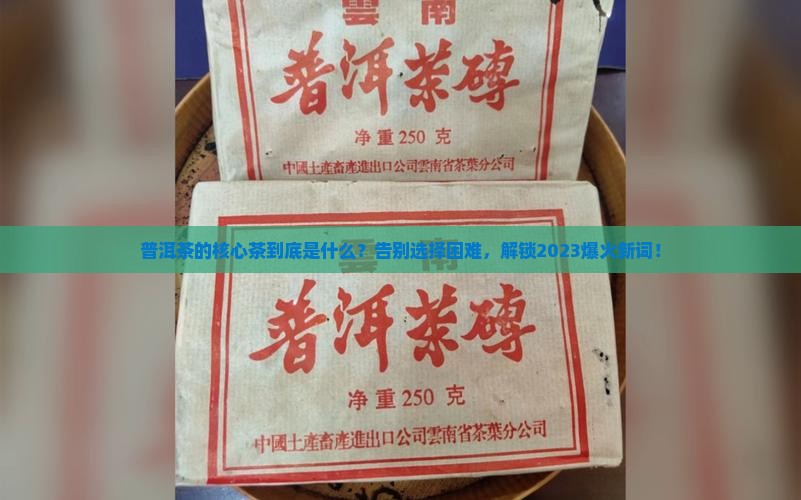 普洱茶的核心茶