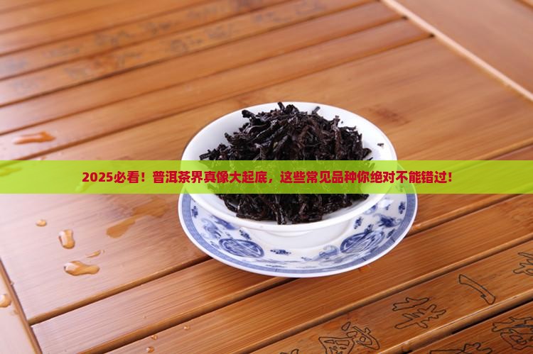常见普洱茶有哪些
