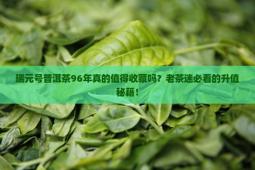 瑞元号普洱茶96年