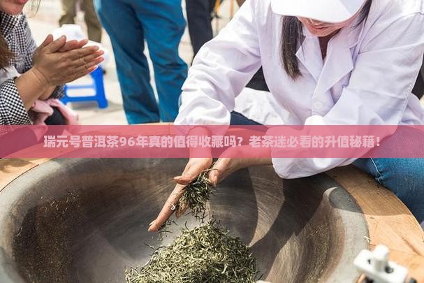 瑞元号普洱茶96年