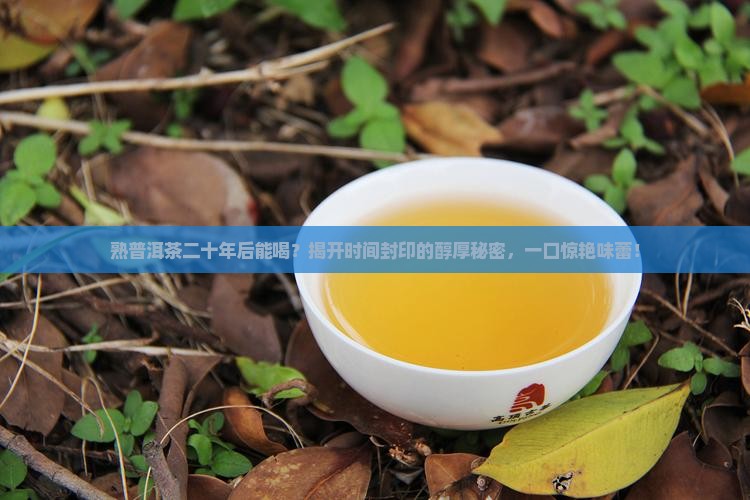 熟普洱茶二十年后能喝