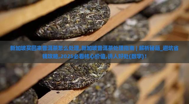 新加坡买回来普洱茶怎么处理