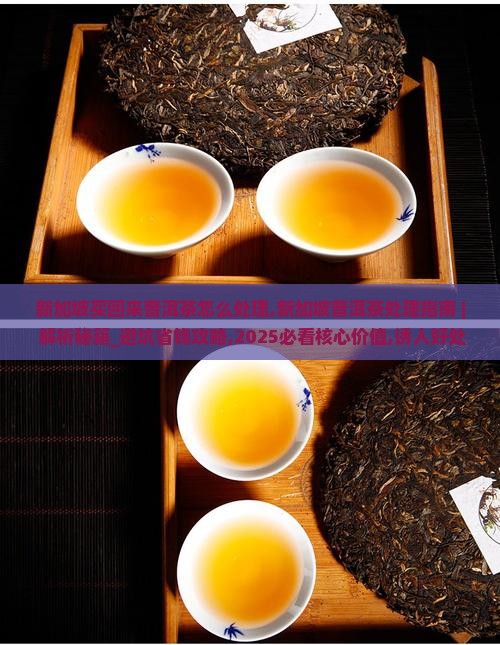 新加坡买回来普洱茶怎么处理