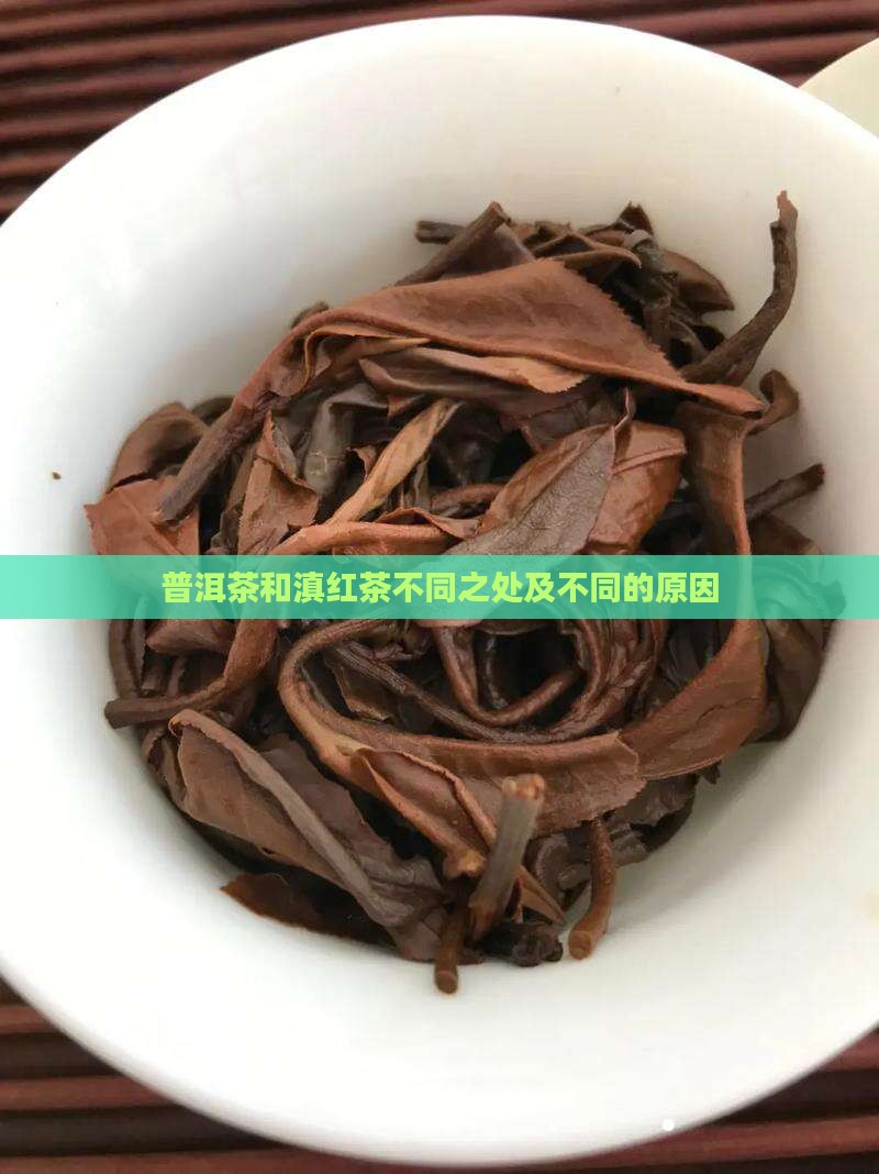 普洱茶和滇红茶不同之处及不同的原因