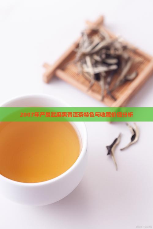 2007年产易武麻黑普洱茶特色与收藏价值分析
