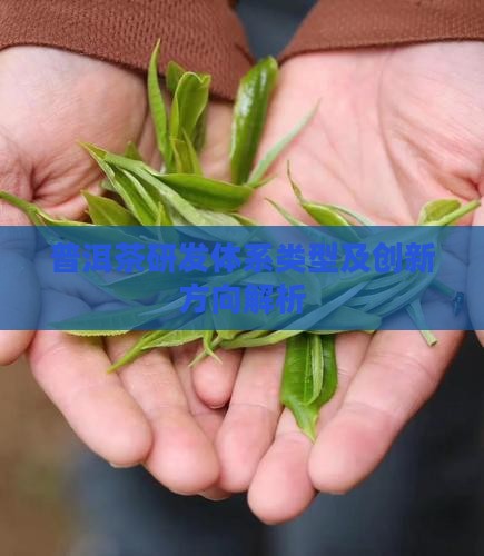 普洱茶研发体系类型及创新方向解析