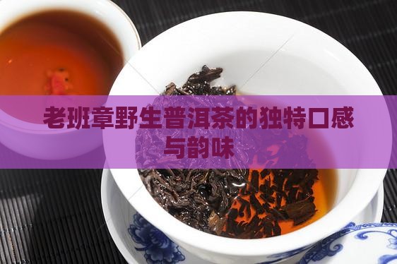 老班章野生普洱茶的独特口感与韵味