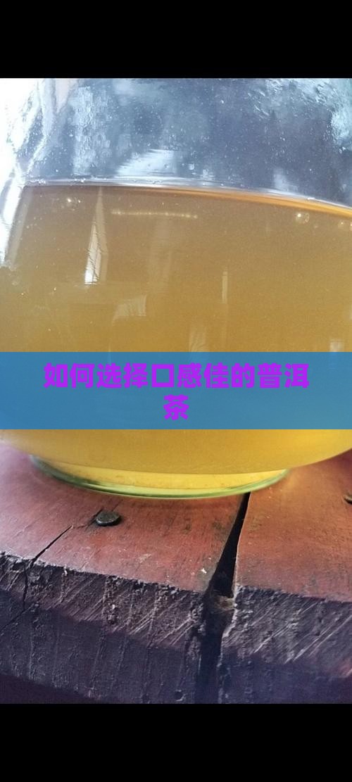 如何选择口感佳的普洱茶