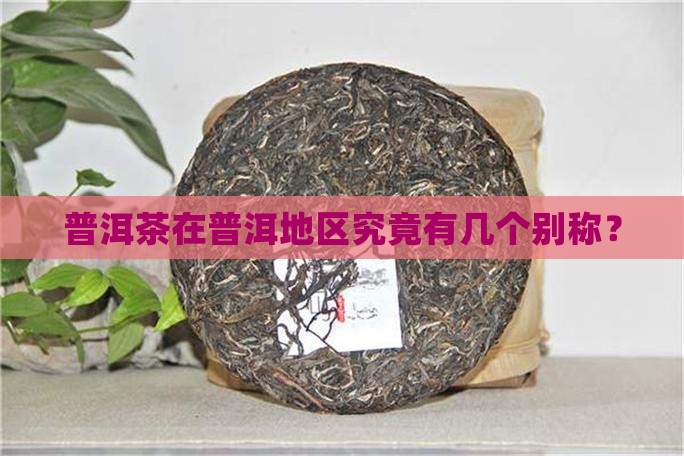 普洱茶在普洱地区究竟有几个别称？