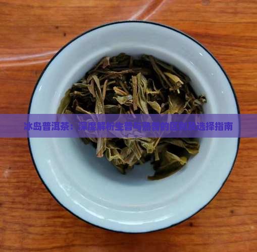 冰岛普洱茶：深度解析生普与熟普的区别及选择指南