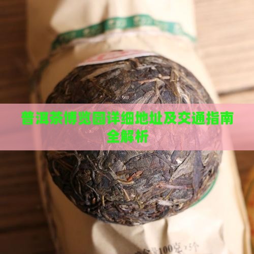 普洱茶博览园详细地址及交通指南全解析