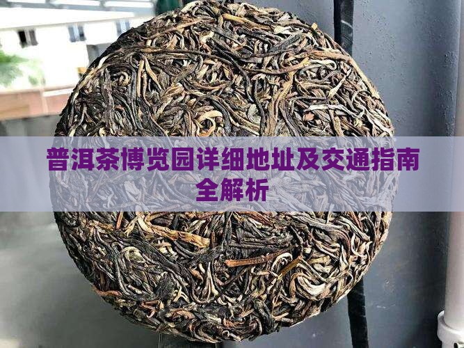 普洱茶博览园详细地址及交通指南全解析