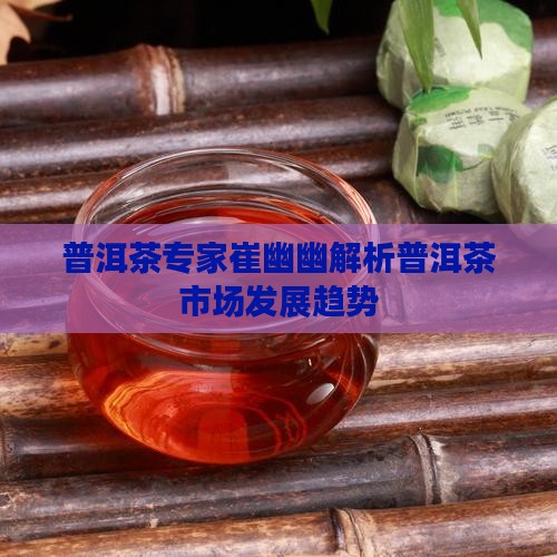 普洱茶专家崔幽幽解析普洱茶市场发展趋势