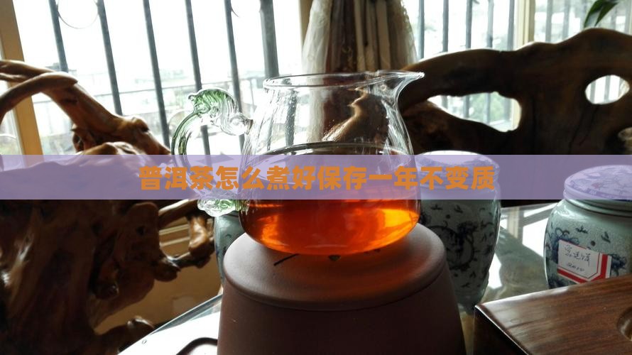 普洱茶怎么煮好保存一年不变质