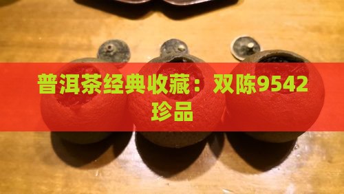 普洱茶经典收藏：双陈9542珍品