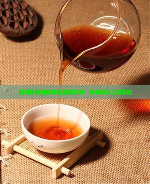 普洱茶涨的最快的是哪款茶？专家解读上涨原因