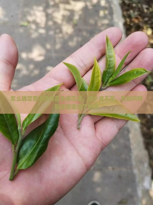 怎么确定普洱茶是否色素沉淀、减少或不足，及如何辨别是否添加了色素