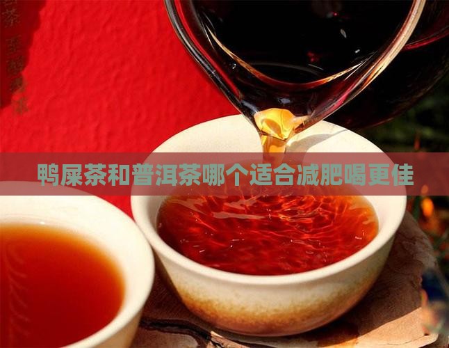 鸭屎茶和普洱茶哪个适合减肥喝更佳