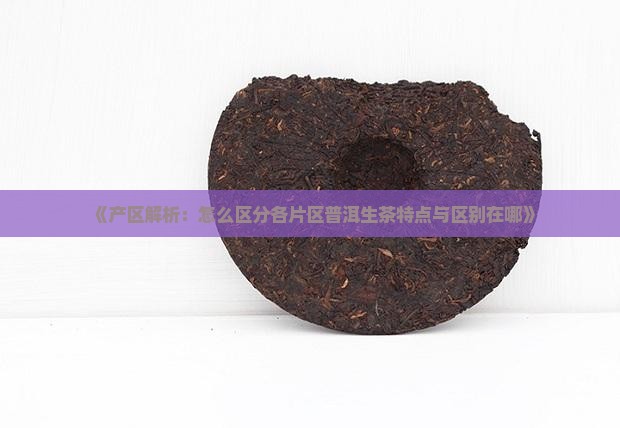 《产区解析：怎么区分各片区普洱生茶特点与区别在哪》