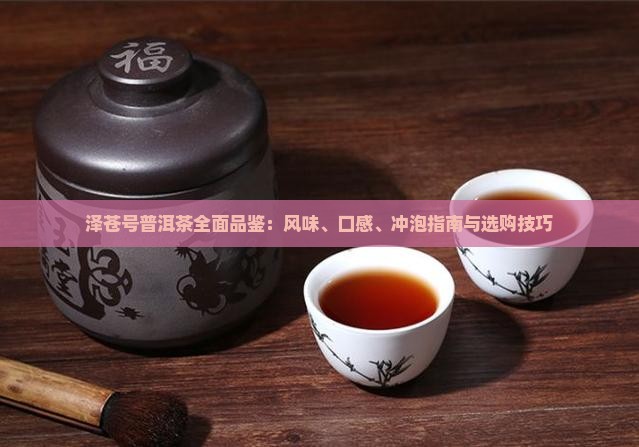 泽苍号普洱茶全面品鉴：风味、口感、冲泡指南与选购技巧