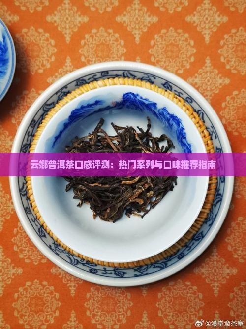 云娜普洱茶口感评测：热门系列与口味推荐指南