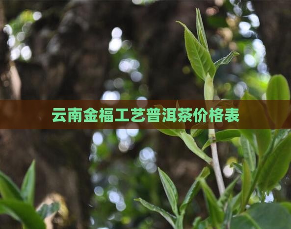 云南金福工艺普洱茶价格表