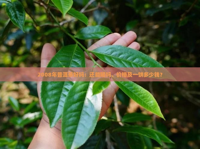2008年普洱茶好吗：还能喝吗、价格及一饼多少钱？