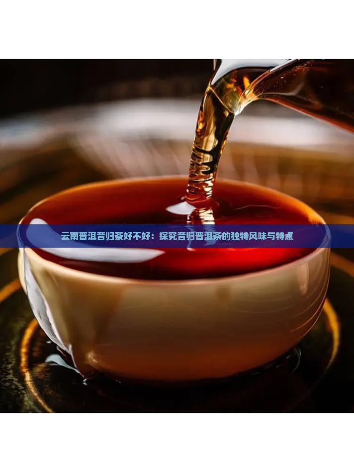 云南普洱昔归茶好不好：探究昔归普洱茶的独特风味与特点