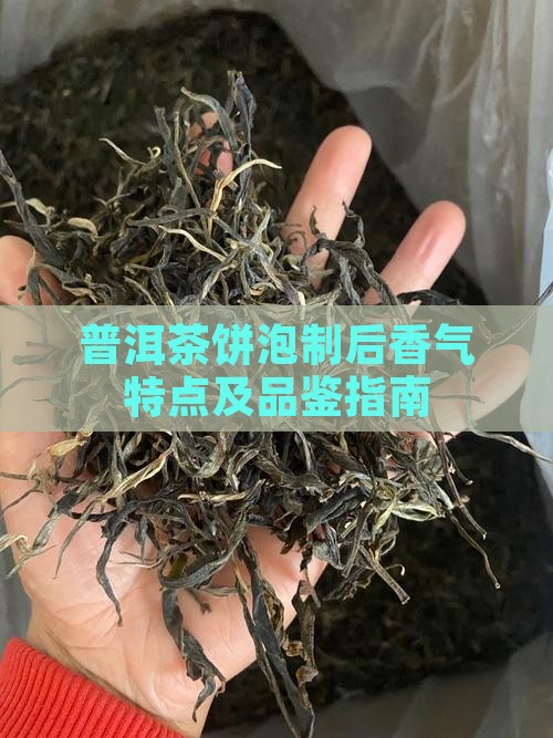 普洱茶饼泡制后香气特点及品鉴指南