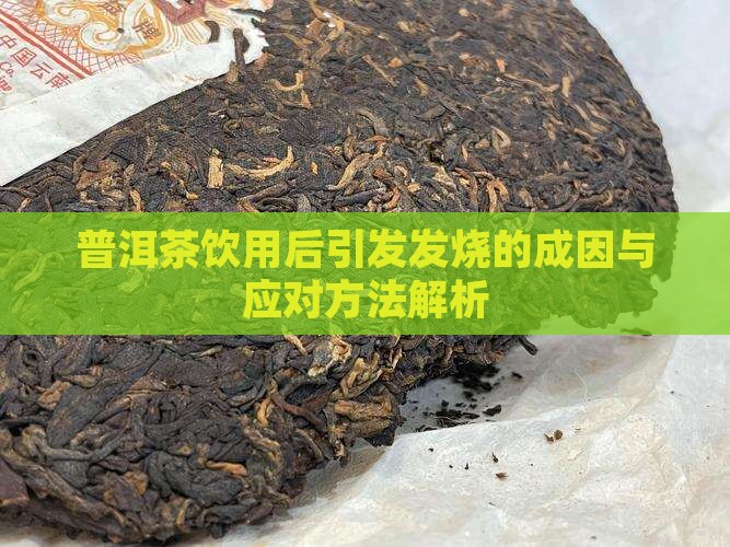 普洱茶饮用后引发发烧的成因与应对方法解析