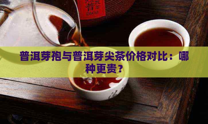 普洱芽孢与普洱芽尖茶价格对比：哪种更贵？