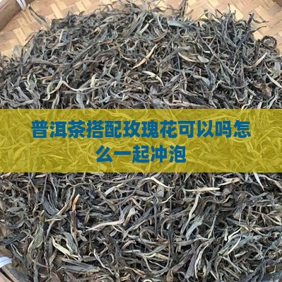 普洱茶搭配玫瑰花可以吗怎么一起冲泡