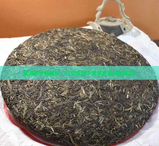 普洱茶分类解析：它究竟属于黑茶还是其他茶类？