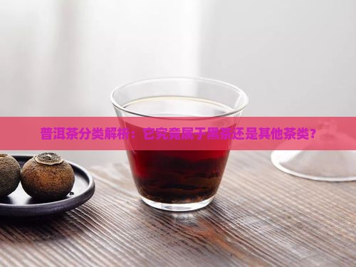 普洱茶分类解析：它究竟属于黑茶还是其他茶类？