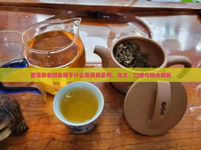 普洱茶老班章属于什么茶及其系列、含义、口感与特点解析