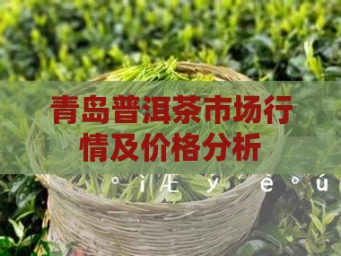 青岛普洱茶市场行情及价格分析