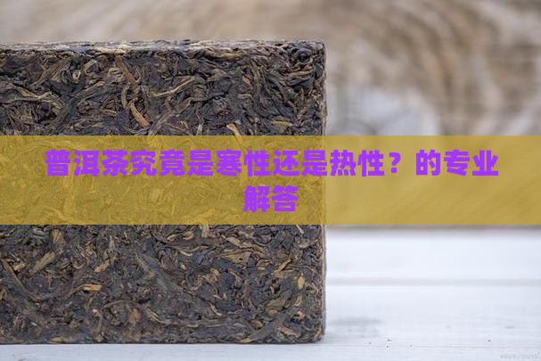普洱茶究竟是寒性还是热性？的专业解答