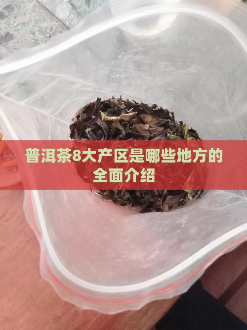 普洱茶8大产区是哪些地方的全面介绍