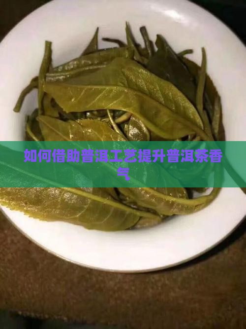 如何借助普洱工艺提升普洱茶香气