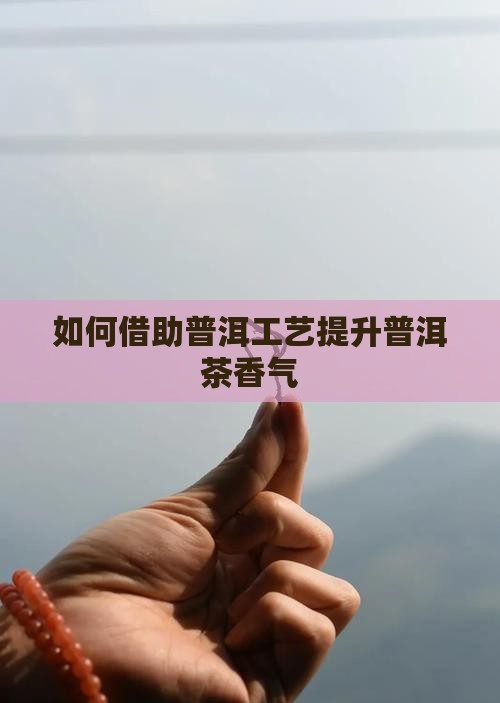 如何借助普洱工艺提升普洱茶香气
