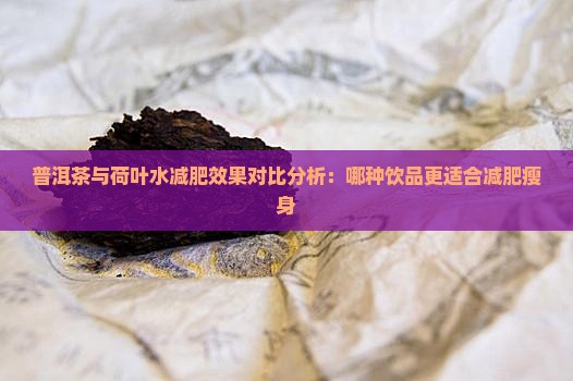 普洱茶与荷叶水减肥效果对比分析：哪种饮品更适合减肥瘦身