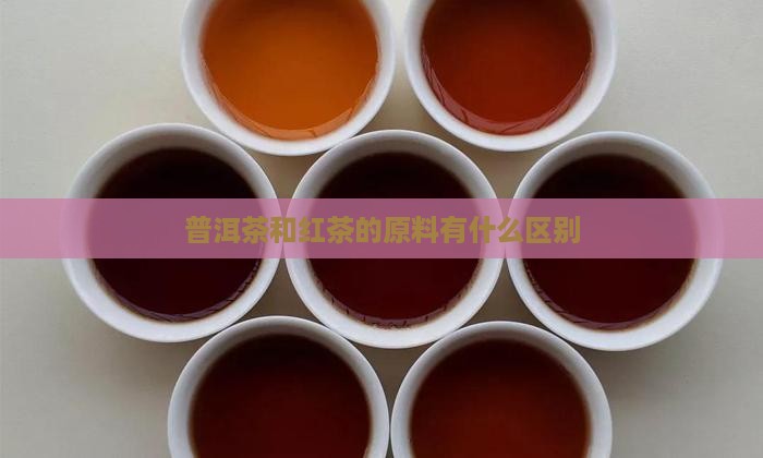 普洱茶和红茶的原料有什么区别
