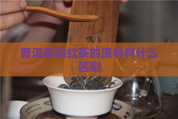 普洱茶和红茶的原料有什么区别