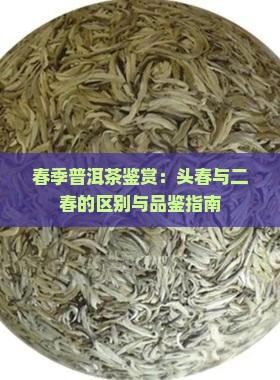 春季普洱茶鉴赏：头春与二春的区别与品鉴指南